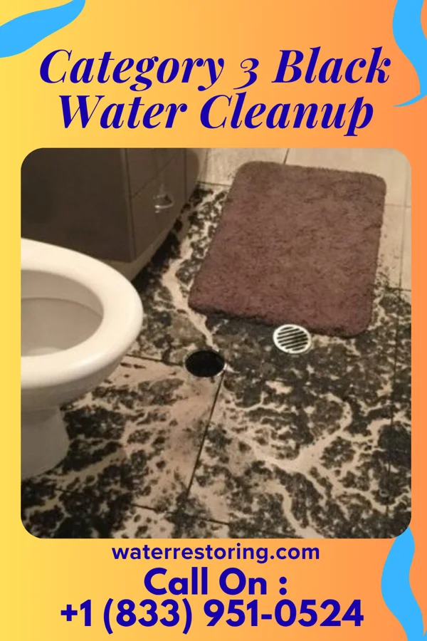 Category 3 Black Water Cleanup in Captree, NY