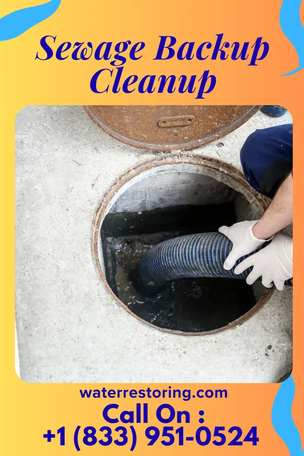 Sewage Backup Cleanup in Captree, NY
